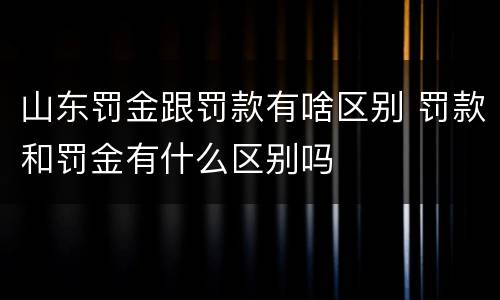 山东罚金跟罚款有啥区别 罚款和罚金有什么区别吗