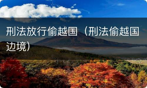 刑法放行偷越国（刑法偷越国边境）