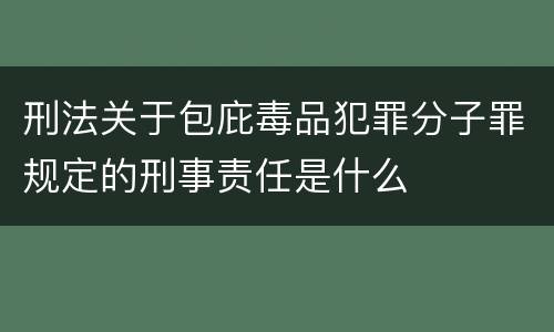 刑法关于包庇毒品犯罪分子罪规定的刑事责任是什么