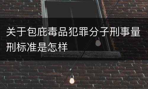 关于包庇毒品犯罪分子刑事量刑标准是怎样