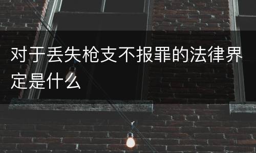 对于丢失枪支不报罪的法律界定是什么