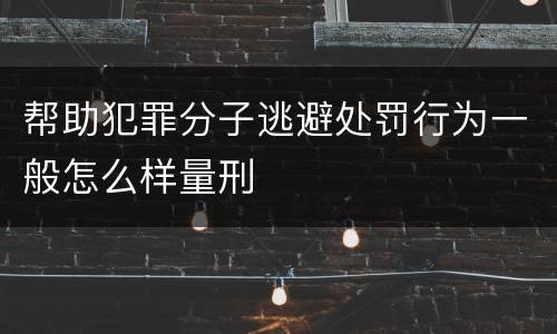 帮助犯罪分子逃避处罚行为一般怎么样量刑