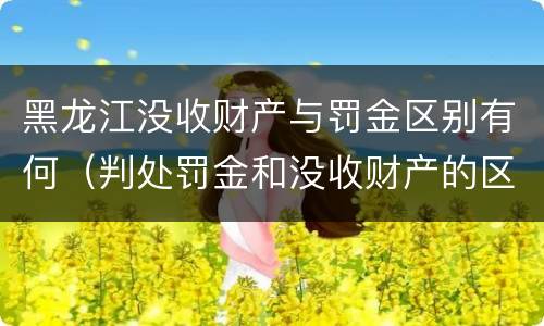 黑龙江没收财产与罚金区别有何（判处罚金和没收财产的区别）