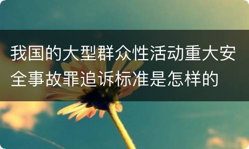 我国的大型群众性活动重大安全事故罪追诉标准是怎样的
