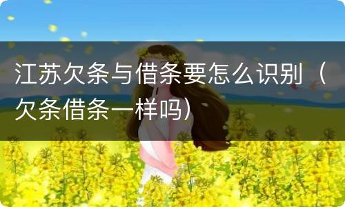 江苏欠条与借条要怎么识别（欠条借条一样吗）