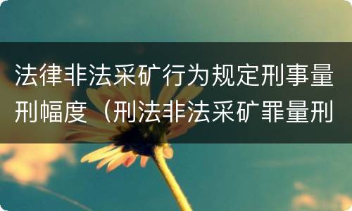 法律非法采矿行为规定刑事量刑幅度（刑法非法采矿罪量刑标准）