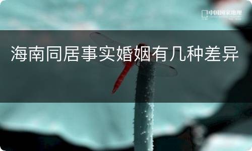 海南同居事实婚姻有几种差异