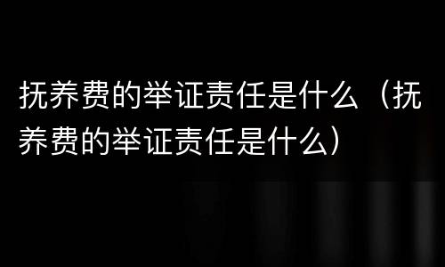 抚养费的举证责任是什么(抚养费的举证责任是什么)