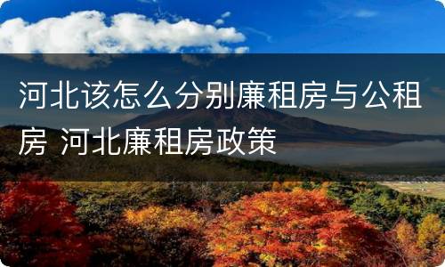 河北该怎么分别廉租房与公租房 河北廉租房政策