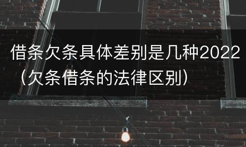 借条欠条具体差别是几种2022（欠条借条的法律区别）