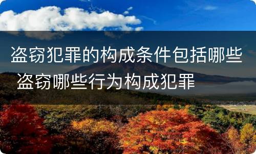 盗窃犯罪的构成条件包括哪些 盗窃哪些行为构成犯罪