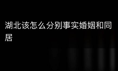 湖北该怎么分别事实婚姻和同居