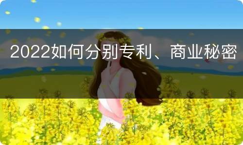 2022如何分别专利、商业秘密