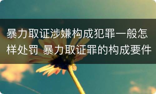 暴力取证涉嫌构成犯罪一般怎样处罚 暴力取证罪的构成要件