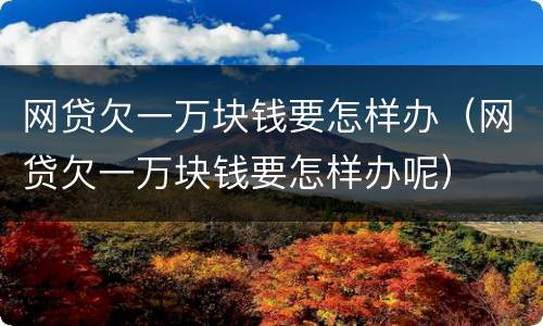 网贷欠一万块钱要怎样办（网贷欠一万块钱要怎样办呢）