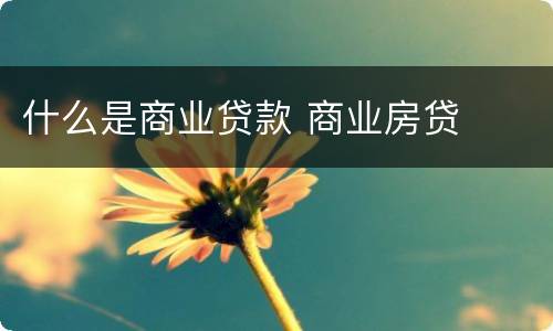 什么是商业贷款 商业房贷