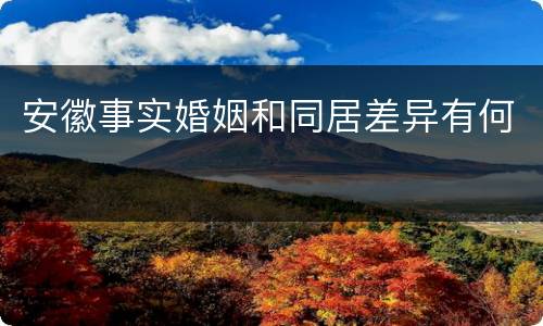 安徽事实婚姻和同居差异有何