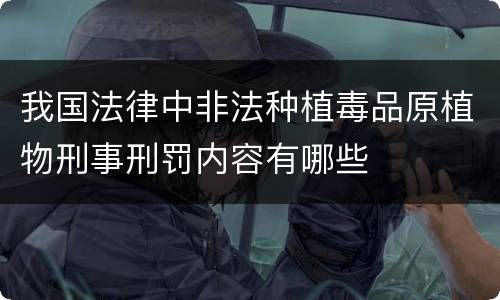 我国法律中非法种植毒品原植物刑事刑罚内容有哪些