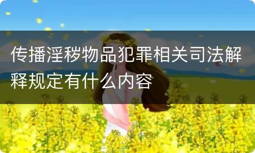 传播淫秽物品犯罪相关司法解释规定有什么内容