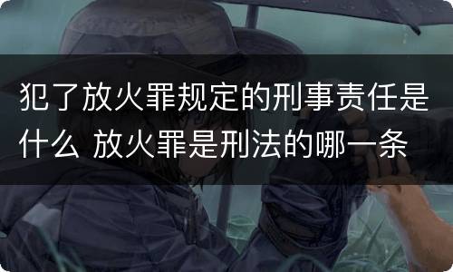犯了放火罪规定的刑事责任是什么 放火罪是刑法的哪一条
