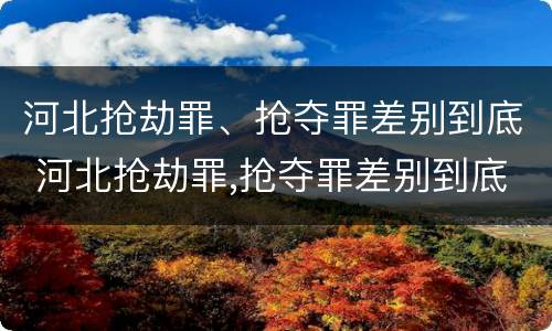 河北抢劫罪、抢夺罪差别到底 河北抢劫罪,抢夺罪差别到底大不大