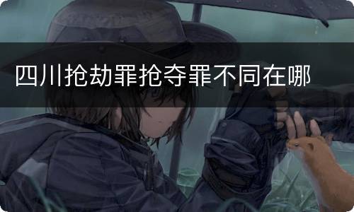 四川抢劫罪抢夺罪不同在哪