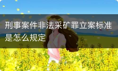 刑事案件非法采矿罪立案标准是怎么规定