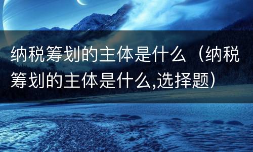 纳税筹划的主体是什么（纳税筹划的主体是什么,选择题）