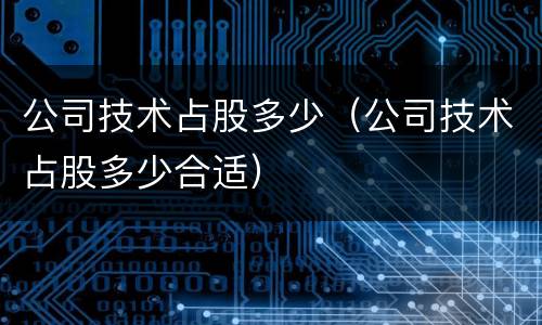 公司技术占股多少（公司技术占股多少合适）