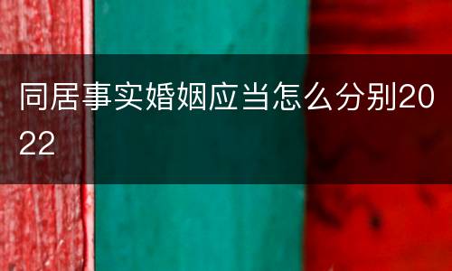 同居事实婚姻应当怎么分别2022