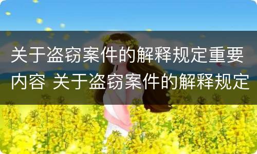 关于盗窃案件的解释规定重要内容 关于盗窃案件的解释规定重要内容有哪些