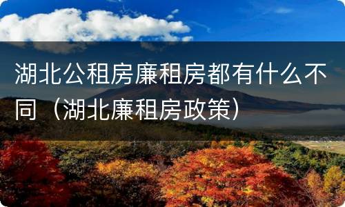 湖北公租房廉租房都有什么不同（湖北廉租房政策）