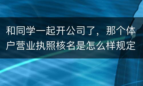和同学一起开公司了，那个体户营业执照核名是怎么样规定的