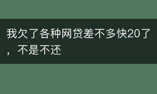 我欠了各种网贷差不多快20了，不是不还