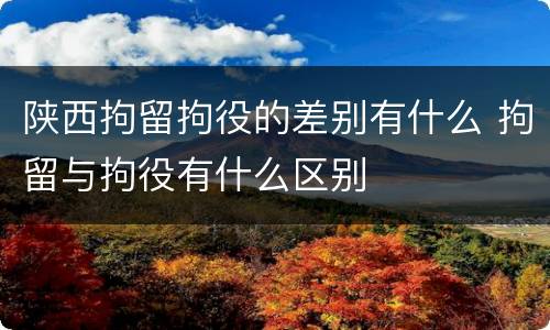 陕西拘留拘役的差别有什么 拘留与拘役有什么区别