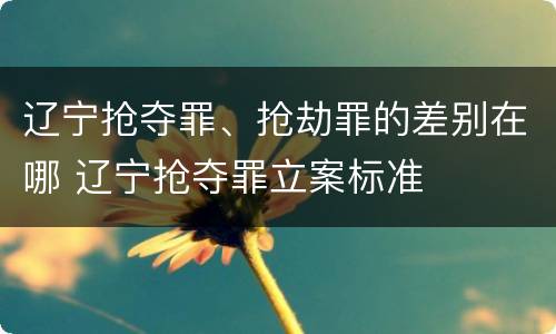 辽宁抢夺罪、抢劫罪的差别在哪 辽宁抢夺罪立案标准