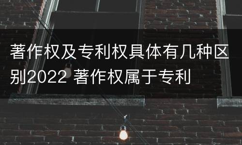 著作权及专利权具体有几种区别2022 著作权属于专利