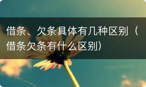 借条、欠条具体有几种区别（借条欠条有什么区别）