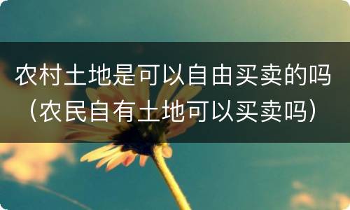 农村土地是可以自由买卖的吗（农民自有土地可以买卖吗）