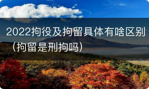 2022拘役及拘留具体有啥区别（拘留是刑拘吗）