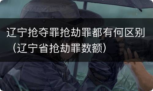 辽宁抢夺罪抢劫罪都有何区别（辽宁省抢劫罪数额）