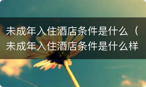 未成年入住酒店条件是什么（未成年入住酒店条件是什么样的）