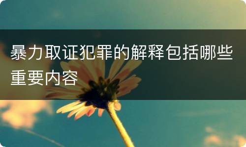 暴力取证犯罪的解释包括哪些重要内容