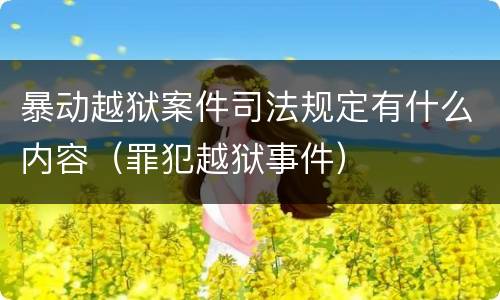 暴动越狱案件司法规定有什么内容（罪犯越狱事件）