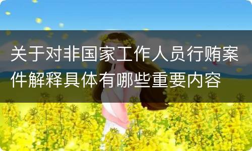 关于对非国家工作人员行贿案件解释具体有哪些重要内容