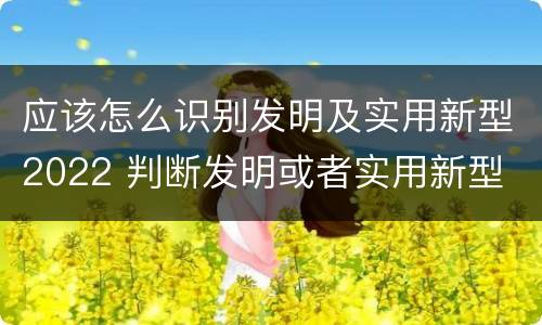 应该怎么识别发明及实用新型2022 判断发明或者实用新型