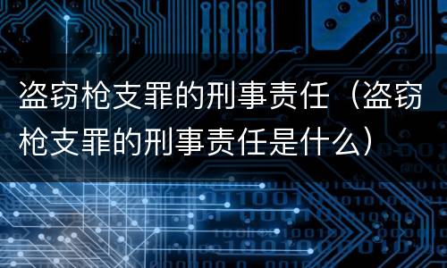盗窃枪支罪的刑事责任（盗窃枪支罪的刑事责任是什么）