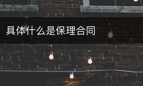 具体什么是保理合同
