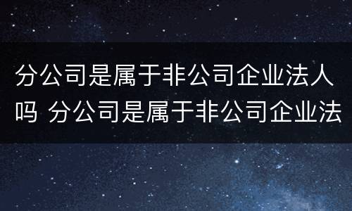 分公司是属于非公司企业法人吗 分公司是属于非公司企业法人吗