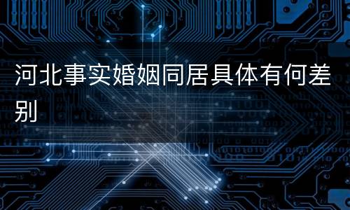 河北事实婚姻同居具体有何差别